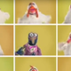 Illustration for article titled Avian Flu Forces 4-H Kids to Show Stuffed Toys in Lieu of Live Chickens